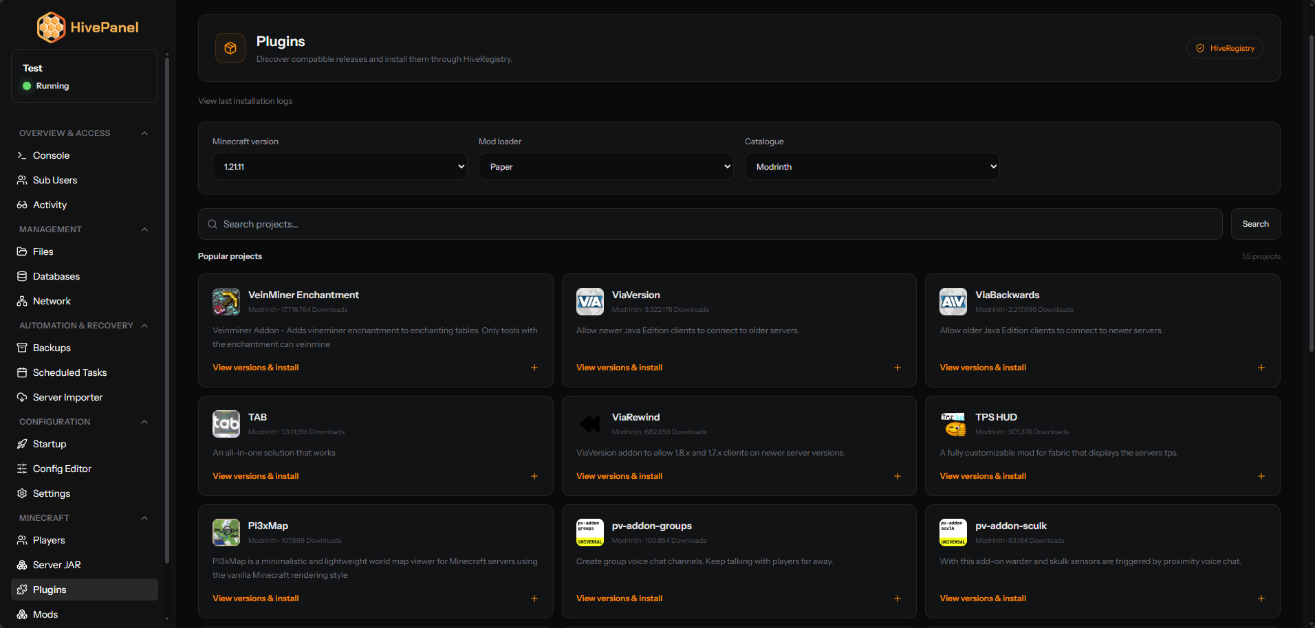Minecraft catalogue and installer in HivePanel
